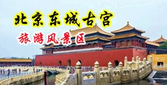 午夜操BB视频中国北京-东城古宫旅游风景区